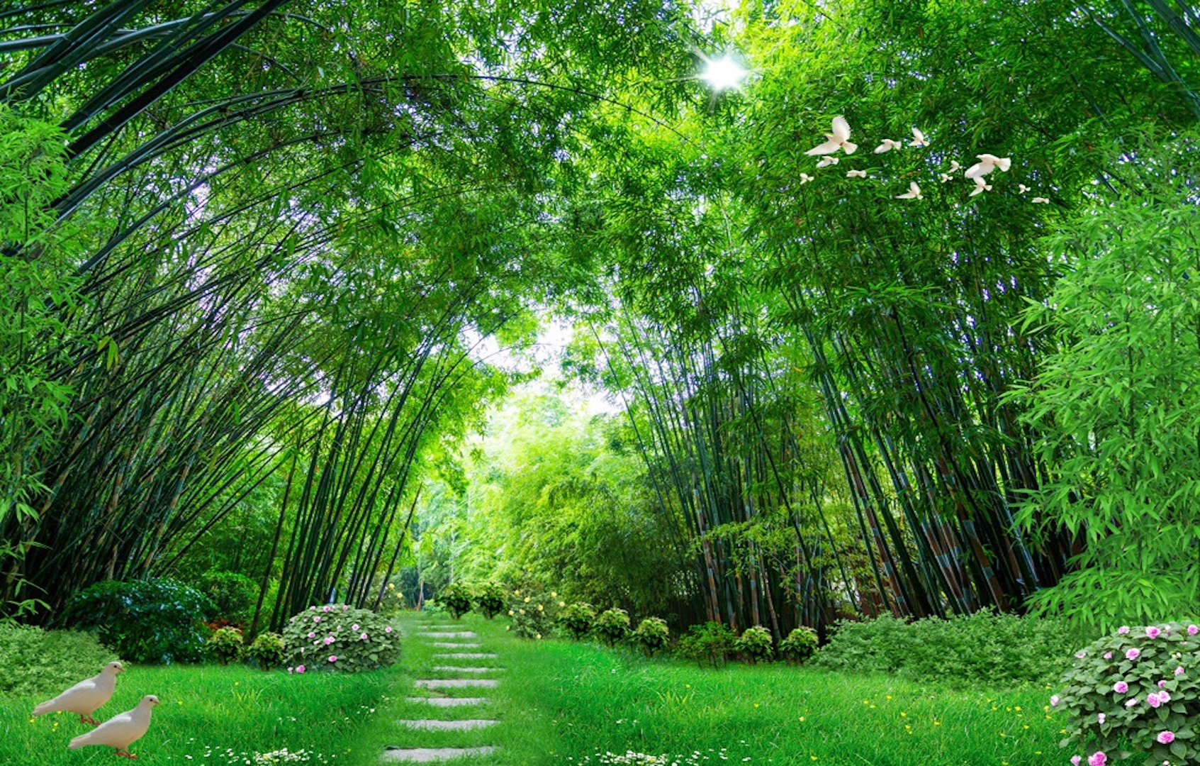 3D Photo Jungle Landscape Wallpaper 2 3D Photo Jungle Landscape Wallpaper