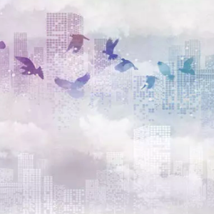 Cityscape Seagull Architecture Wallpaper