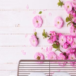 Pink Peony Flower Vine Blossom Wallpaper