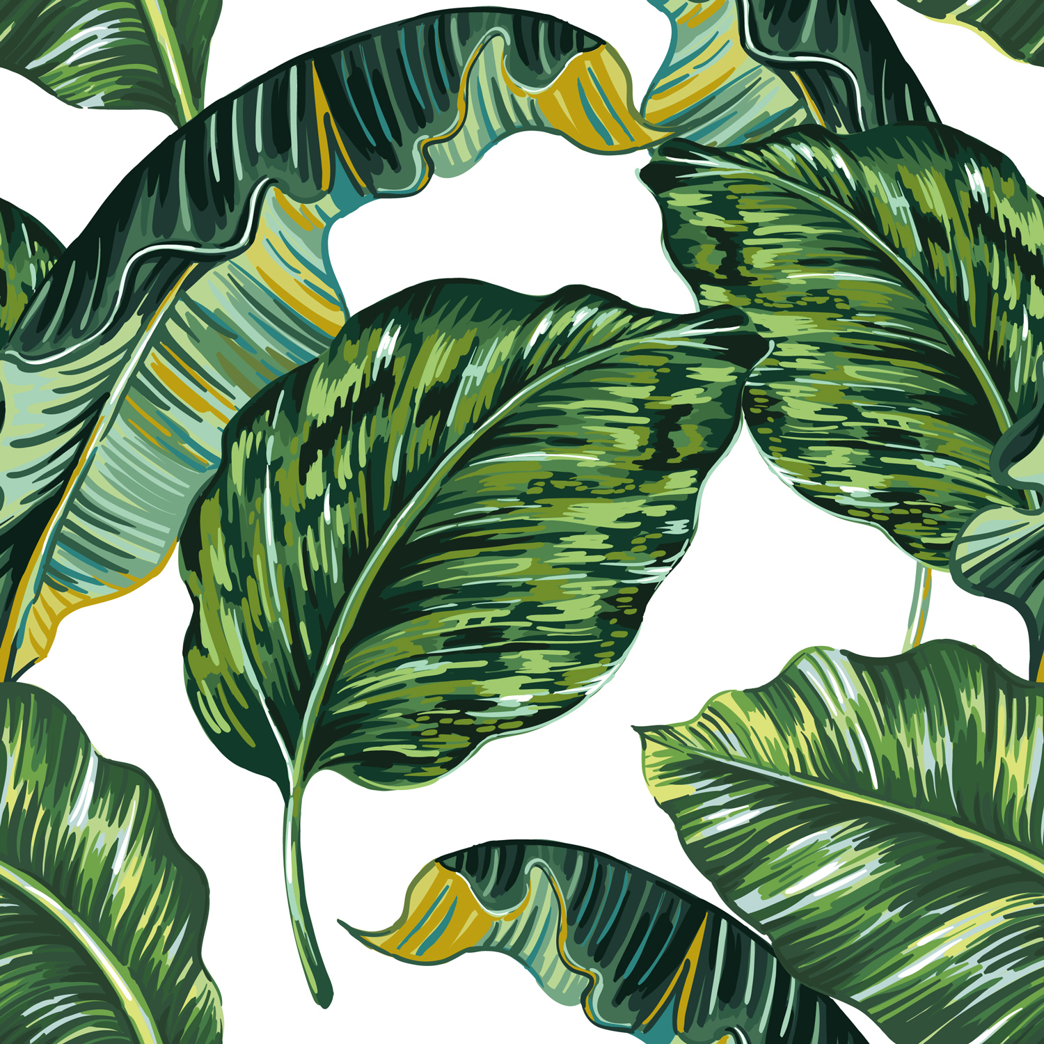 Banana Leaf Tropical Leaves Exotic Removable Wallpaper 4 Banana Leaf Tropical Leaves Exotic Removable Wallpaper