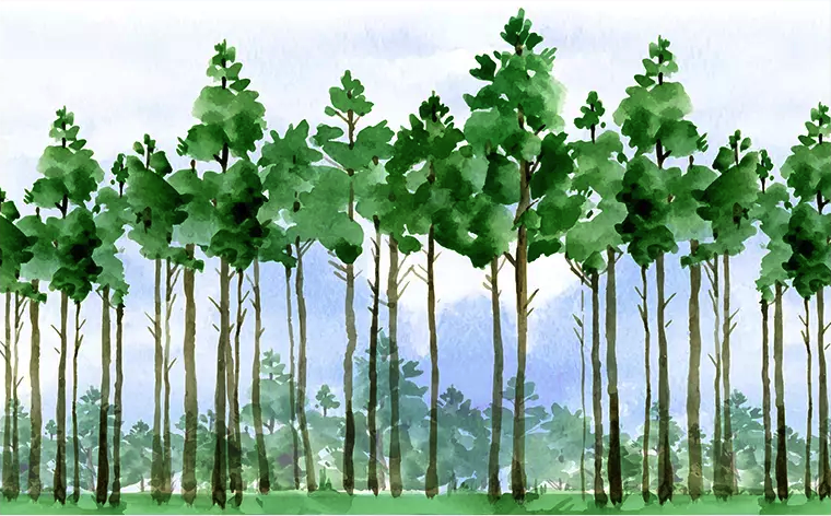 Forest Cartoon Poplar Tree Landscape Removable Wallpaper 5 Forest Cartoon Poplar Tree Landscape Removable Wallpaper