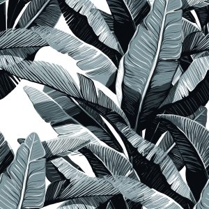 Black and White Banana Palm Leaves Flowers Plants Removable Wallpaper
