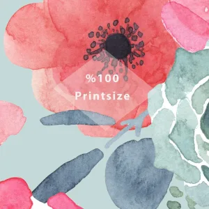 Watercolor Pink Flowers Blossom Bliss Removable Wallpaper