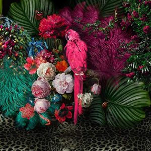 Floral Colorful Peony Flower, Parrot Wallpaper