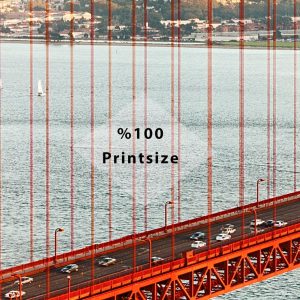 Golden Gate Bridge San Francisco Landscape Removable Wallpaper