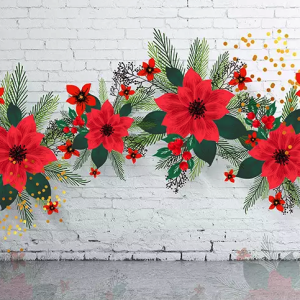 3D Bohemian Red Poinsettia Floral Wallpaper