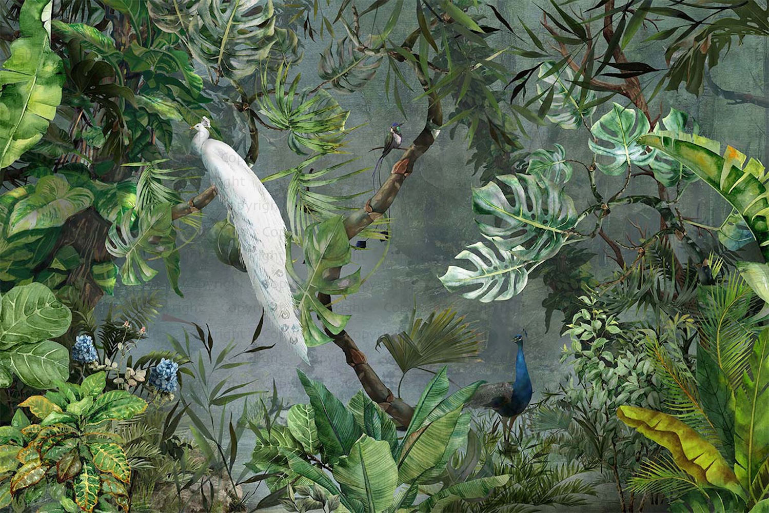 Exotic White Peacock Wallpaper Mural 3 Exotic White Peacock Wallpaper Mural