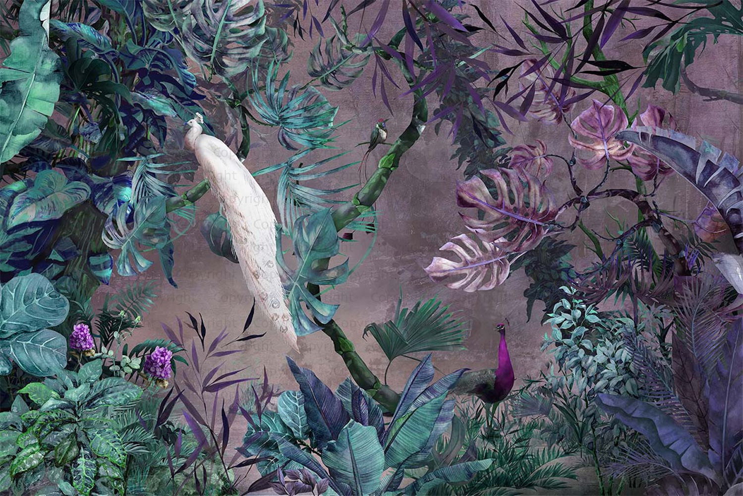 Exotic White Peacock Wallpaper Mural 6 Exotic White Peacock Wallpaper Mural