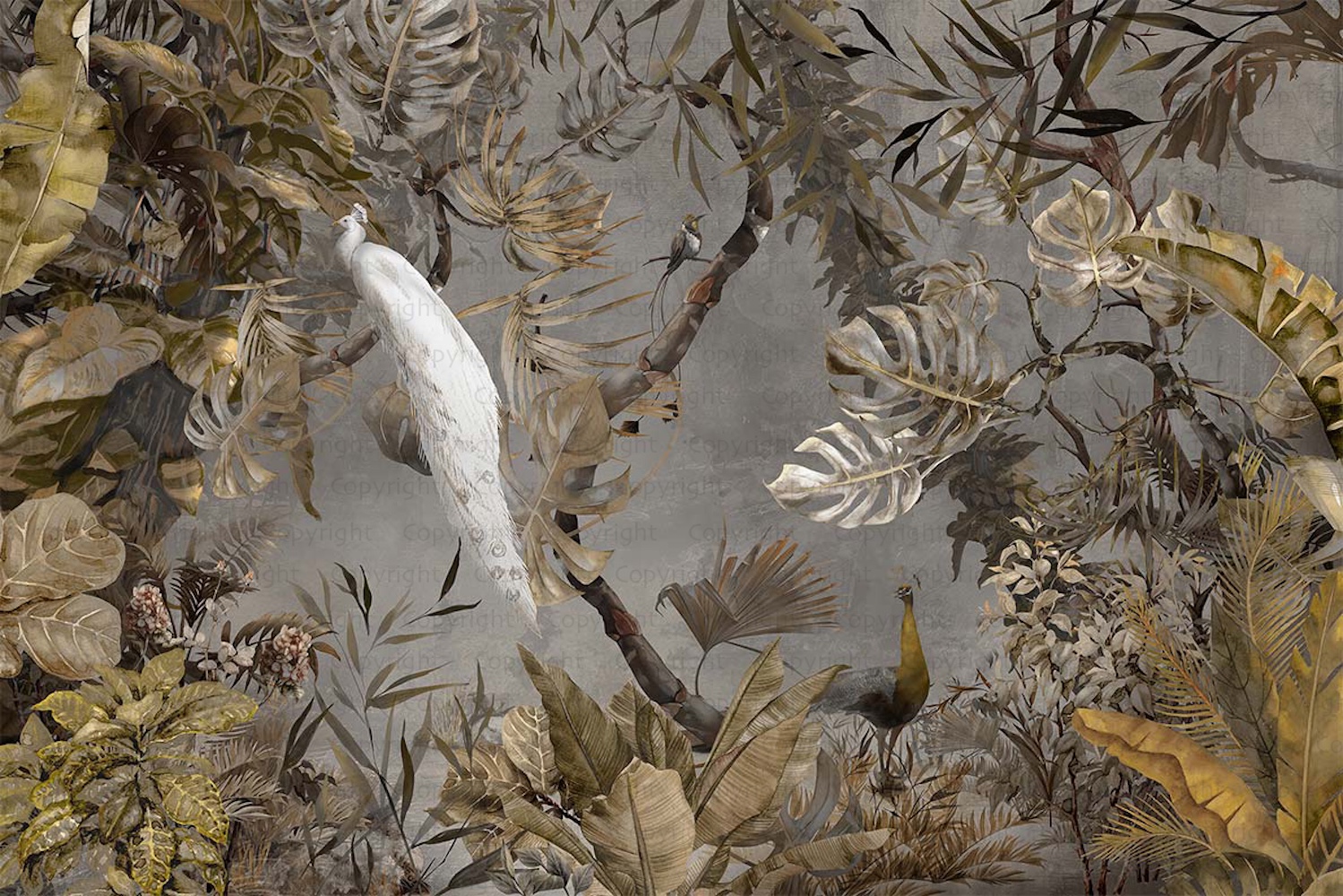 Exotic White Peacock Wallpaper Mural 10 Exotic White Peacock Wallpaper Mural