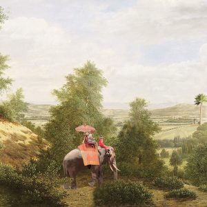 Vintage Scenic Wallpaper Mural with Elephant Ride and Serene Countryside Landscape