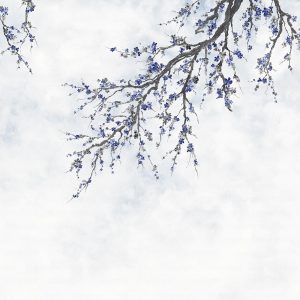 Elegant Cherry Blossom Branch Wallpaper Mural - Minimalist Floral Design for Serene Interiors