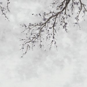 Elegant Cherry Blossom Branch Wallpaper Mural - Minimalist Floral Design for Serene Interiors