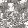 Monochrome Jungle Hand-Drawn Tropical Wallpaper Mural