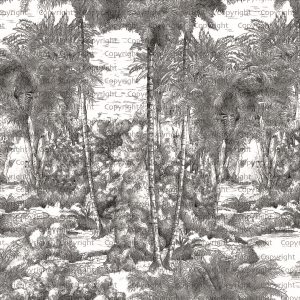 Monochrome Jungle Hand-Drawn Tropical Wallpaper Mural