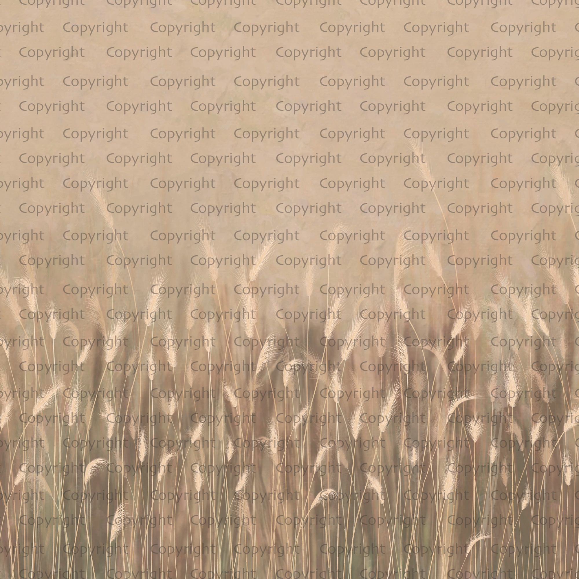 Serene Reed Grass Wallpaper Mural Soft Neutral Tones 1 Serene Reed Grass Wallpaper Mural Soft Neutral Tones