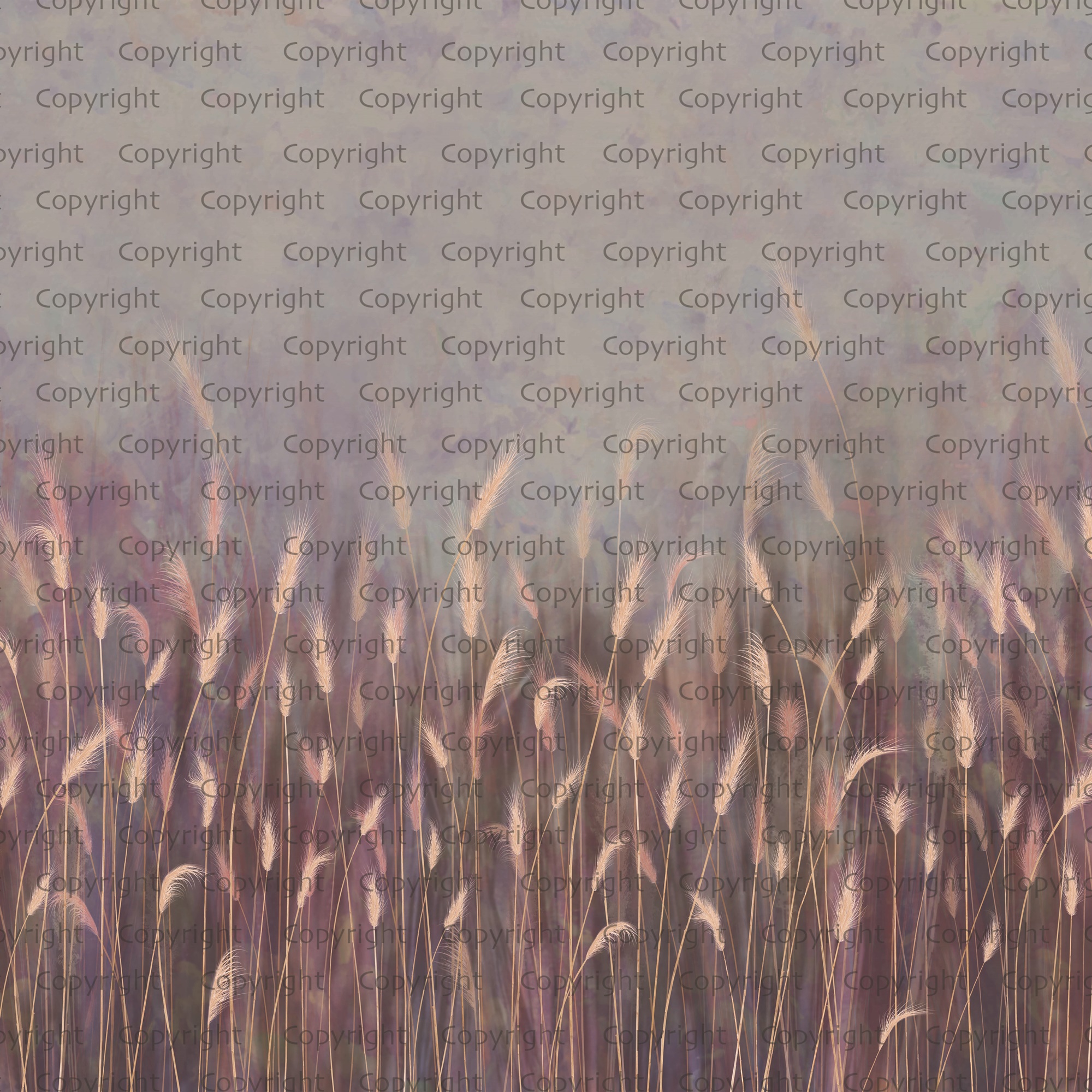 Serene Reed Grass Wallpaper Mural Soft Neutral Tones 9 Serene Reed Grass Wallpaper Mural Soft Neutral Tones