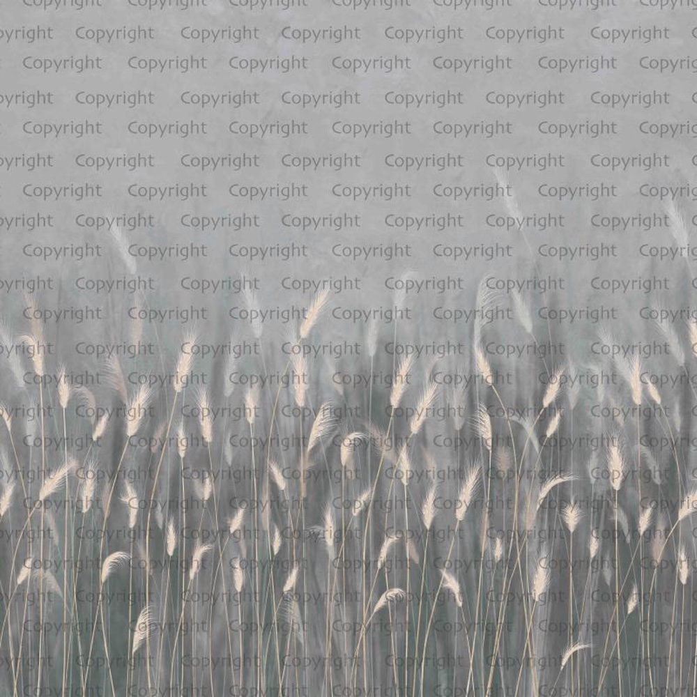 Serene Reed Grass Wallpaper Mural Soft Neutral Tones 13 Serene Reed Grass Wallpaper Mural Soft Neutral Tones