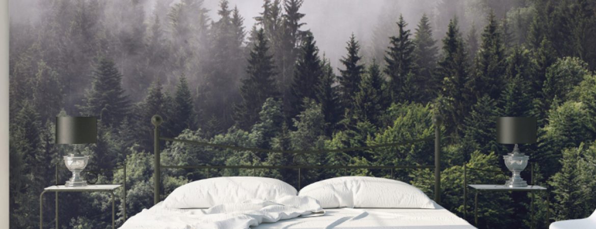 forest-wallpaper